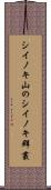 シイノキ山のシイノキ群叢 Scroll