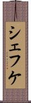 シェフケ Scroll