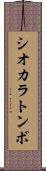 シオカラトンボ Scroll