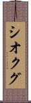 シオクグ Scroll