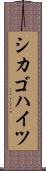 シカゴハイツ Scroll
