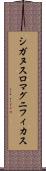 シガヌスロマグニフィカス Scroll