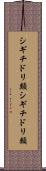 シギチドリ類 Scroll