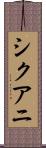 シクアニ Scroll