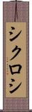 シクロシ Scroll
