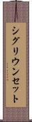 シグリウンセット Scroll