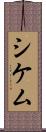 シケム Scroll