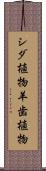 シダ植物 Scroll