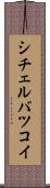 シチェルバツコイ Scroll