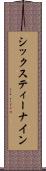 シックスティー・ナイン Scroll