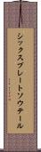 シックスプレートソウテール Scroll