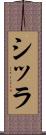 シッラ Scroll