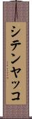 シテンヤッコ Scroll