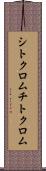 シトクロム Scroll
