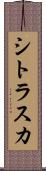 シトラスカ Scroll