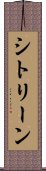 シトリーン Scroll