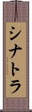 シナトラ Scroll