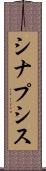 シナプシス Scroll