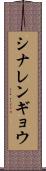 シナレンギョウ Scroll