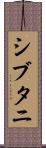 シブタニ Scroll