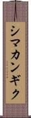 シマカンギク Scroll