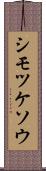 シモツケソウ Scroll
