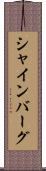 シャインバーグ Scroll