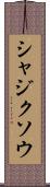 シャジクソウ Scroll
