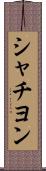 シャチヨン Scroll