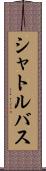 シャトルバス Scroll