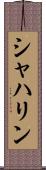 シャハリン Scroll