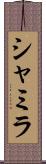 Shamila Scroll