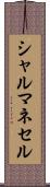 シャルマネセル Scroll