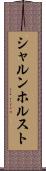 シャルンホルスト Scroll