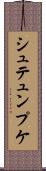 シュテュンプケ Scroll