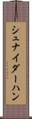 シュナイダーハン Scroll