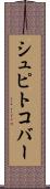 シュピトコバー Scroll