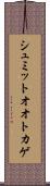 シュミットオオトカゲ Scroll