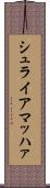シュライアマッハァ Scroll