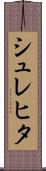 シュレヒタ Scroll