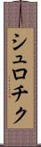 シュロチク Scroll