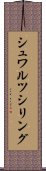 シュワルツシリング Scroll