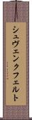 シュヴェンクフェルト Scroll