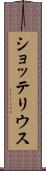 ショッテリウス Scroll