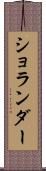 ショランダー Scroll