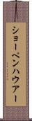 ショーペンハウアー Scroll