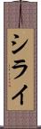 シライ Scroll