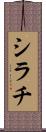 シラチ Scroll