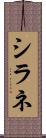 シラネ Scroll