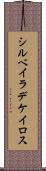 シルベイラデケイロス Scroll